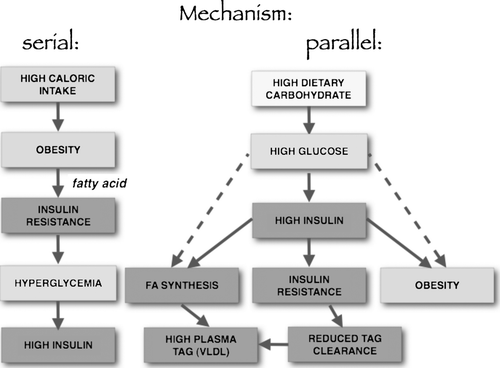 Figure 4.  Theories of mechanisms of insulin resistance.