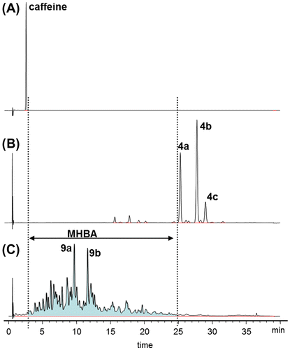 Fig. 6. HPLC chromatograms of (A) caffeine, (B) ICS-I3 standard, and (C) the MHBA fraction.Note: ICS-I3 contains mainly trans-isocohumulone (4a), trans-iso-n-humulone (4b), and trans-isoadhumulone (4c). Integrated peak area of whole MHBA is shown in color.