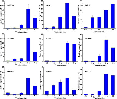 Figure 7. Expression profiles of AsWRKY genes in garlic under heat treatment.