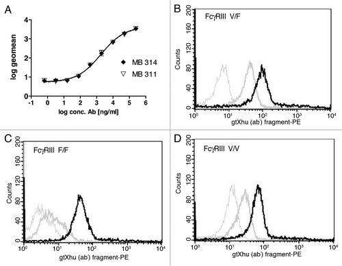 Figure 1. Binding activity MB314 and MB311. (A) Binding of MB311 and MB314 to the Lewis-Y positive tumor cell line SKBR-3 was determined by flow cytometry. Geometric Mean fluorescence intensity (MFI) was plotted vs. the logarithm of the antibody concentration and fitted using a sigmoidal four parameter fit using GraphPad Prism 4 software for calculation of EC50 values. Mean and SD of triplicates are shown. Binding of 100µg/ml MB311 (dark gray line) or MB314 (black line) to purified human NK-cells expressing the FcγRIII variant V/F (B), to the FcγRIII variant F/F (C) and the FcγRIII variant V/V (D). Results obtained with medium only are shown as light gray lines.