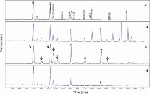 Figure 3. Comparison of UPLC glycan profiles. (a) mAb1; (b) human serum; (c) mAb1 from human serum purified only by protein A and immobilized anti-mAb1 affinity columns; (d) mAb1 from human serum purified by protein A, immobilized anti-mAb1 affinity, and WCX columns. Arrows in (c) indicate glycan species present in serum proteins, which may interfere with mAb1 glycan profiles. After two-step purification, the interference peaks from serum proteins were not completely removed (c), and major glycan species of mAb1 co-eluted with glycans from serum. The peak marked with an asterisk (c, d) showed a specific glycan peak observed only in serum glycoproteins and used to confirm purification efficiency. After three-step purification, this major serum glycan interference was significantly reduced (d), and both glycan profiles before (a) after (d) were comparable