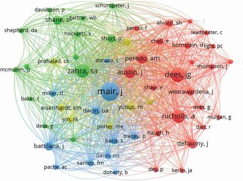 Figure 14. Network co-citation of authors