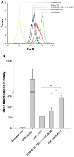 Figure 4 (A) Flow cytometry charts showing the cellular uptake of DXRL-PEG, RGD-DXRL-PEG, RGD-DXRL-PEG + 3 mM cRGD, and DXR solution by U87MG cells. (B) Mean fluorescence intensity as determined by flow cytometry experiments.Notes: DXR solution served as a positive control while untreated cells were used as a negative control. U87MG cells were incubated with either free DXR, DXRL-PEG, or RGD-DXRL-PEG for 2 hours at 37°C. In the competitive binding experiment, excess free cRGD (3 mM) in culture medium was preincubated with U87MG cells for 20 minutes, followed by continued coincubation with RGD-DXRL-PEG for another 2 hours at 37°C. The cells were then washed with cold phosphate-buffered saline (pH 7.4) and cell-associated DXR was evaluated using flow cytometry. Data represent the mean ± standard deviation (n = 3). **P < 0.001.Abbreviations: DXR, doxorubicin; DXRL-PEG, DXR-loaded PEGylated liposomes; RGD-DXRL-PEG, cRGD-modified DXRL-PEG.