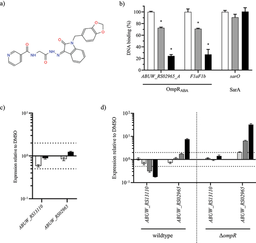 Figure 6. OmpR inhibitory activity of VSIS_039.