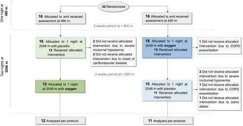 Figure 1 Simplified patient flow chart. SeeCitation26 for four arm allocation of the intention-to-treat-analysis in the main trial. Severe hypoxemia was defined as an arterial oxygenation measured by finger oximetry <75% for >30 min.