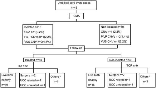 Figure 2. Flowchart of CMA in fetuses with umbilical cord cysts. CMA: chromosome microarray, P/LP CNVs: pathogenic or likely pathogenic copy number variants, TOP: termination of pregnancy. a Others: represent diseases not related to UCC, including slight deafness after birth, right auricle deformity, ear canal stenosis, and ventricular septal defect, but no treatment is required currently.