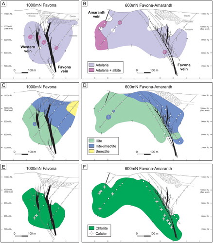 Figure 10. Cross sections along the 1000mN and 600mN drill lines showing the distribution of alteration minerals at the Favona deposit identified from XRD. A, And B, adularia plus albite, C, and D, illite, illite-smectite and smectite, E, and F, chlorite plus calcite (Simpson and Mauk Citation2007). Calcite is shown as spot samples due to minor and sporadic occurrence. Circles show sample locations. Cross section locations are shown in figure 2B. RL = relative level with 1,000m RL = sea level.