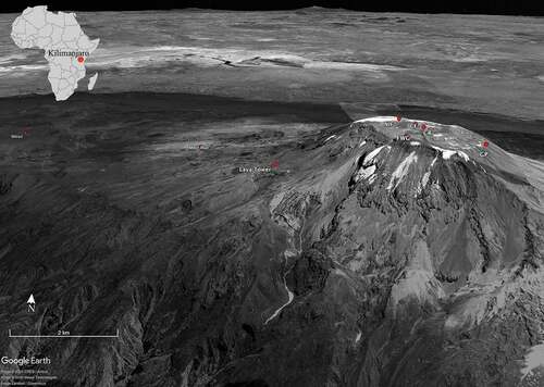 Figure 1. Oblique view of Kilimanjaro and the study sites (Google Earth). Site abbreviations correspond with site names in Table 1.