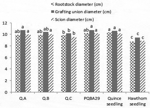 Figure 1. Diameter of rootstock, scion, and grafting union in grafting of ‘Isfahan’ cultivar on different rootstocks