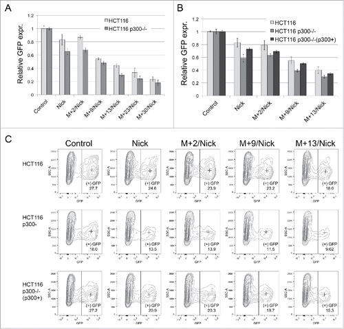 Figure 6. Effect of p300 depletion on repair of mismatches in cells with deficient MMR. (A) HCT116 and its p300 knockout derivative (HCT116 p300−/−) were transfected with undamaged plasmid (Control), nicks containing plasmid (Nick) and a series of nicks and mismatch containing plasmids. Stop codon-creating mismatches were placed at different distances from the 5′ nick. (B) Graph of relative expression levels of EGFP in HCT116, HCT116 p300−/− and rescue cells HCT116 p300−/−(p300+) expressing p300 from the plasmid. Relative expression levels represent the mean of triplicate experiments. (C) Representative contour plots of flow cytometric analysis of rescue in EGFP gene repair for the construct with nicks and series of constructs with nicks and a mismatch after transfection of p300 cDNA plasmid. The numbers indicate the percentages of GFP positive population. Median fluorescence intensities are indicated by a cross. All plots were gated on the living cells fraction.