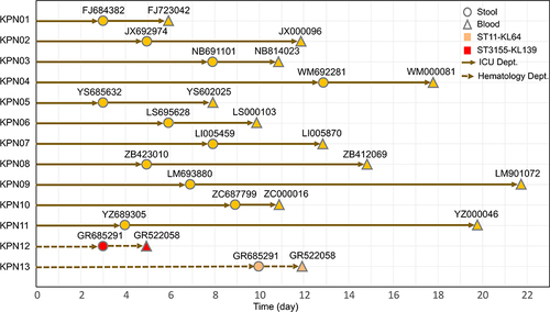 Figure 3 Timeline from admission to colonization and subsequent BSI in CRKP colonized patients. The circles represent the day of colonization, while the triangles show the day of BSI. During the study, 13 patients developed BSI from their intestinal colonizing strains, showing a median time of 7 days (range: 3–13 days) from admission to colonization. The median time from CRKP colonization to BSI was 6 days (range, 2–16 days).