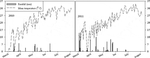 Figure 1 Trend of precipitation (mm) and average temperature (°C) for two experimental years in Mashhad, Iran.