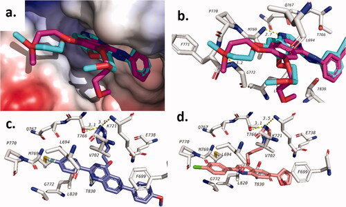 Figure 5. Docking of target quinolines in the active site EGFR. (a) validation of docking procedure showing overlapping of crystalised (blue) and docked (pink) poses; (b) interactions of Erlotinib with EGFR; (c) docking pose of 20c; (d) docking pose of 20e.