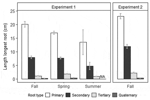 Figure 1. Length of longest primary, secondary, tertiary, and quaternary roots with standard error at day 60 for rooted Salix spp. cuttings in experiments 1 and 2 at different times of year. Length of longest quaternary roots was not assessed for summer cuttings in experiment 1.