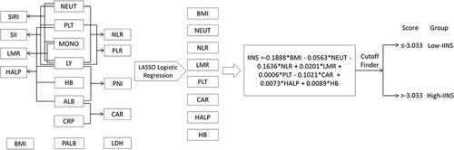 Figure 2 Process diagram for IINS construction and risk stratification. According to the LASSO logistic regression model, 8 indicators out of 18 variables including BMI, NEUT, NLR, LMR, HB, CAR, PLT and HALP were selected to construction IINS.