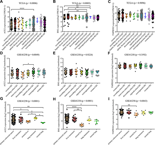 Figure 7 ACE2, BSG and TMPRSS2 expressions in CRC, liver metastasis, normal liver, lung metastasis and normal lung. (A–F) Differential expression of ACE2, BSG or TMPRSS2 among CRC at different anatomical locations, using data from TCGA (A–C) or GSE41258 (D–F). (G–I) Differential expression of ACE2, BSG or TMPRSS2 among primary CRC, liver metastasis, normal liver, lung metastasis and normal lung. All samples were taken from CRC patients. Kruskal–Wallis tests with post hoc using Dunn’s method were performed.