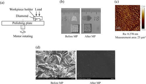 Figure 1. Mechanical polishing (MP): (a) Schematic diagram of the setup for MP experiments; (b) Optical images of MP [Citation56]; (c) Typical AFM roughness image of MP [Citation49]; (d) Scanning electron microscope images of MP [Citation19].