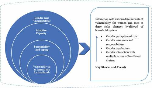 Figure 3. Gender differentiated framework for analysis of vulnerabilities (adjusted from Birkmann, Citation2013).