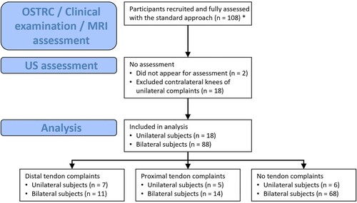 Figure 2. Study flow diagram of the study-related assessments and subject categorization. Note: Eight knees were diagnosed with both distal and proximal patellar tendon complaints. n: Number of subjects. * Dataset published in Fröhlich et al. (Citation2021) (Fröhlich et al., Citation2020b)