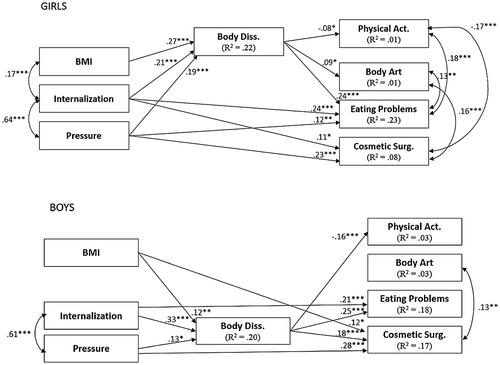 Figure 2. Final structural equation model (multi-group approach) on females and males.