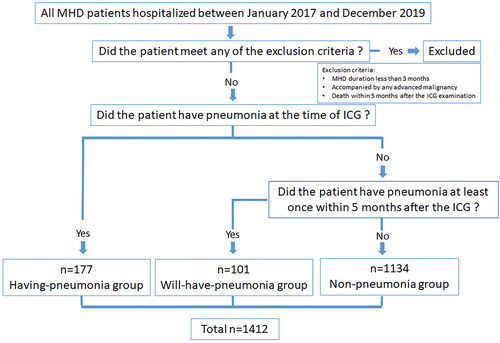 Figure 1. Flow chart of patient inclusion and grouping in this study.