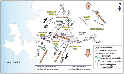 Figure 3. Schematic representation of the tectonic evolution of the Kemalpaşa and surrounding basins. Note that the deformation pattern of Turgutlu is pure extensional, whereas that west of Turgutlu is wrench-to-extension dominated transtension (redrawn from Özkaymak et al., Citation2013).