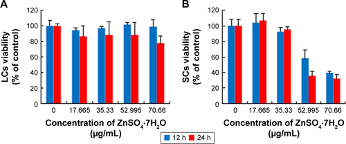 Figure S2 Toxicity of ZnSO4·7H2O for LCs and SCs, and dissolution curve of Zn2+ from different concentrations of ZnO NPs and ZnSO4·7H2O in medium.Notes: (A and B) In order to verify ZnSO4·7H2O cytotoxicity, cells were treated with various concentrations of ZnSO4·7H2O for 12 and 24 hours, and viability determined with MTT. MTT indicated time- and concentration-dependent cytotoxicity of ZnSO4·7H2O on both cell lines. On comparing the effects of ZnO NPs on the two cell lines with the MTT assay, the ZnO NPs showed hazardous effects than ZnSO4·7H2O. (C) Dissolution curve of Zn2+ from different concentrations of ZnO NPs in medium. (D) Dissolution curve of Zn2+ from different concentrations of ZnSO4·7H2O in medium. More Zn2+ was released from ZnSO4·7H2O than ZnO NPs at the highest concentration. This shows that the ZnO NP toxicity was dependent on the particle and not on the released Zn2+. Also, 17.665, 35.33, 52.995, and 70.66 μg/mL ZnSO4·7H2O have the same concentration zinc with 5, 10, 15, and 20 μg/mL ZnO NPs, respectively. The results are expressed as the mean ± standard deviation of three separate experiments.Abbreviations: LCs, Leydig cells; MTT, 3-(4,5-dimethylthiazol-2-yl)-2,5-diphenyltetrazolium bromide; NPs, nanoparticles; SCs, Sertoli cells; h, hours.