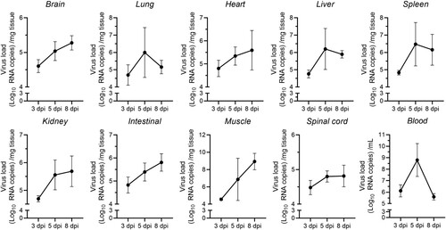 Figure 2. Viral loads in multiple organs. Seven-day-old ICR mice were i.g. inoculated with a lethal dose of CVA19. At 3, 5, and 8 dpi, infected mice (n = 4) were euthanized and viral loads were assessed by qRT-PCR in tissue samples. Results represent the mean viral load (Log10 (viral RNA copies/mg or mL) tissues or blood) ± SD.