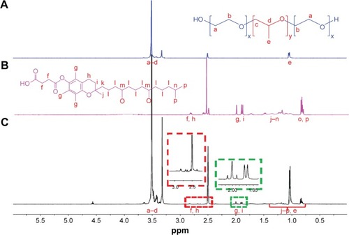 Figure 2 1H NMR spectrum of F68–VES polymer.Notes: (A) F68. (B) VES. (C) F68–VES.Abbreviations: 1H NMR, 1H nuclear magnetic resonance; F68, Pluronic F68; VES, vitamin E succinate; F68–VES, Pluronic F68-conjugated vitamin E succinate.