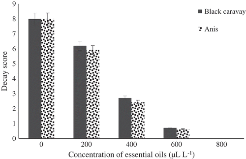 Figure 3. Effect of different concentrations of black caraway and anise essential oils on decay score of blood orange fruit cv. Moro during storage.