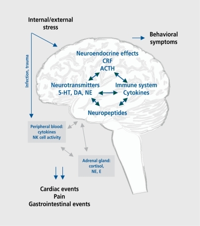 Figure 1 Interactions between brain and body. CRF, corticotropin-releasing factor; ACTH, adrenocorticotropic hormone; E, epinephrine; NE, norepinephrine; 5-HT, 5-hydroxytryptamine (serotonin); DA, dopamine; NK, natural killer.