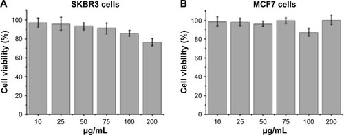 Figure 4 Cell viability of SKBR3 (A) and MCF7 (B) cells after incubation with different concentrations of unloaded MNPs.Notes: Cells were incubated with different concentrations of unloaded MNPs (10–200 μg/mL) for 8 h, followed by fresh complete media for 16 h. Cell viability was measured using the CCK-8. Data are mean ± SD (n=5). Both cell lines remained highly viable after incubation with unloaded MNPs.Abbreviations: CCK-8, Cell Counting Kit-8; MNPs, micelle-like nanoparticles.