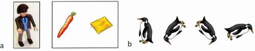 Figure 1. Examples for the theory of mind task (a) and the mental rotation task (b)