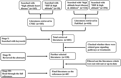 Figure 1 Flow chart of literature screening. n represented the number of screened paper.