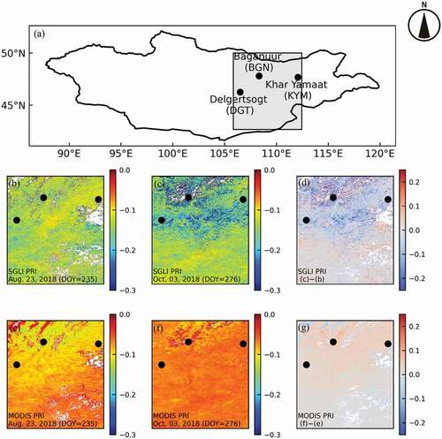 Figure 11. Spatial distribution of PRI derived from SGLI in (a) the area including three study sites on (b) August 23, 2018 (the peak of greenness), and (c) October 03, 2018 (the end of the growing season). (d) Subtraction of (b) from (c).