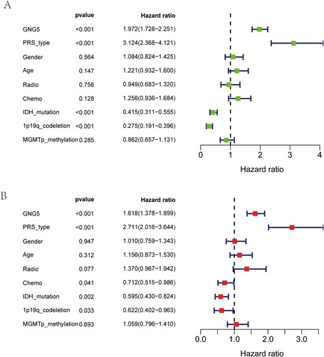 Figure 4. Independent prognosis analysis of GNG5 in the CGGA database. Univariate analysis (A) and multivariate analysis (B) of GNG5 in LGG patients.