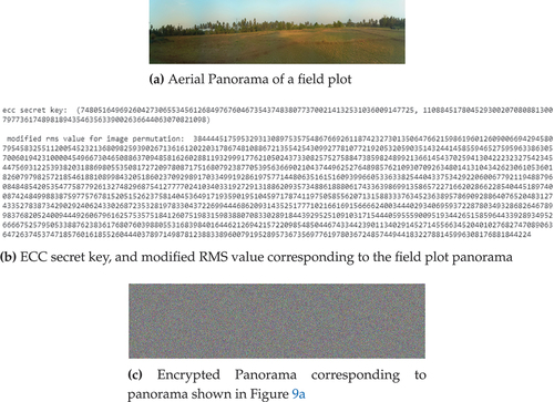 Figure 9. Analysis of the results for field plot aerial panorama encryption.