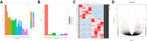 Figure 1 (A) Distribution of identified circRNAs on the chromosome; (B) Type of circRNAs; (C) Hierarchical cluster analysis of differentially expressed circRNAs; (D) Volcano plot of differential expressed circRNAs in PTC.