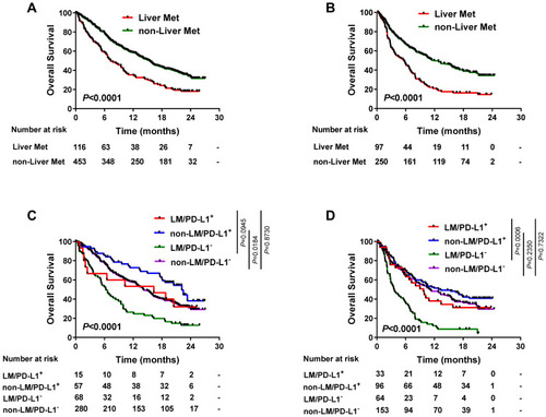 Figure 3 Combination of PD-L1 expression and liver metastasis (LM) for risk stratification of patients received atezolizumab. Kaplan-Meier estimates of overall survival (OS) stratified by LM status in (A) the OAK cohort and (B) the IMvigor210 cohort. Kaplan-Meier estimates of OS stratified by LM status and PD-L1 expression level in (C) the OAK cohort and (D) the IMvigor210 cohort.