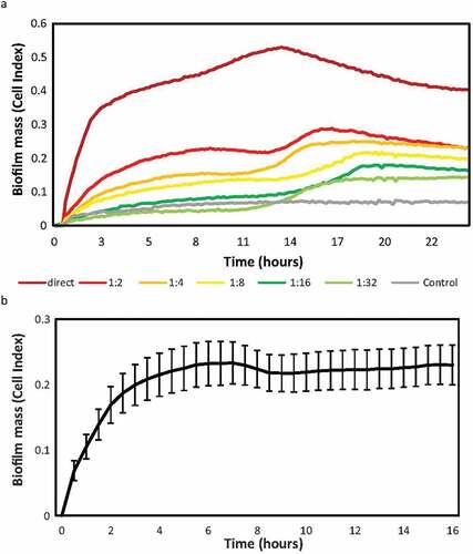 Figure 2. Endodontic biofilm formation dynamics after serial dilutions. a) the y-axis indicates the impedance values (i.e. biofilm growth) measured over 24 h. Sample was diluted from an initial concentration 1/1 (pellet diluted in 500 ul of medium), up to a dilution 1/32. The results show the mean Cell Index (CI) or biofilm growth values of two replicates recorded in real time over 24 h of biofilm formation on an RTCA xCelligence system. The grey line corresponds to the negative control of the medium without sample. b) Mean and SE (standard error) of endodontic biofilm growth of 9 samples of different patients, measured in real time for 16 h on the RTCA xCelligence® system. For each sample, the mean of the 2 replicates was taken and the impedance values were subtracted from the blank (control medium).