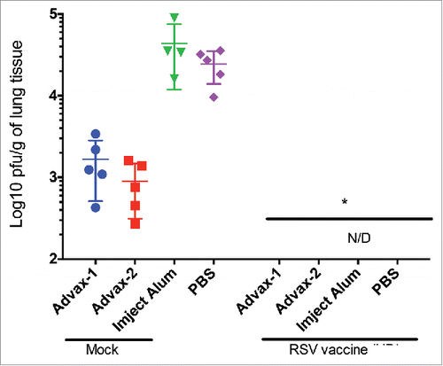 Figure 2. Vaccination with high-dose live RSV eliminates detectable viral loads in lungs. Viral load was assessed by methylcellulose-plaque titration of lung homogenates and presented in a Log10 pfu/g of lung tissue. Titers were performed in triplicate and the mean titer for each animal (n=5) is indicated by the group symbol. The minimum level of detection of RSV viral loads in the lungs is 100 pfu/g and samples that did not yield plaques are indicated as none detected (N/D). *p>0 .01.