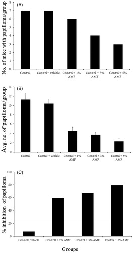 Figure 5. (A) The number of mice with papilloma/group, (B) the average number of papilloma developed/group and (C) the percentage inhibition of papilloma by AMF on DMBA induced papilloma bearing mice. Control group indicates DMBA + croton oil alone. DMBA alone and croton oil alone are not shown as they did not develop papilloma.