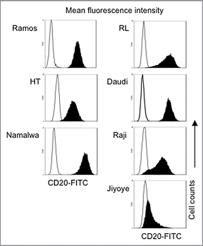 Figure 1 Relative expression of CD20 on lymphoma B-cell lines. B-cell lines were tested for CD20 expression and analyzed by flow cytometry. Histograms of CD20 fluorescence intensity are shown compared with the IgG1 isotype. The results presented are representative of at least three independent experiments.