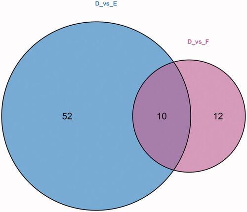 Figure 4. Venn diagram for the metabolites of T2DM without DKD, DKD stages III, and DKD stage IV. D: T2DM without DKD; E: T2DM with DKD stage III; F: T2DM with DKD stage IV. 62 differential metabolites were recognized between T2DM and DKD stages III. 22 differential metabolites were recognized between DKD stages III and DKD stage IV. There were 10 common differential metabolites among the three groups.