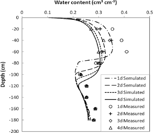 Fig. 5 Measured (TDR) and simulated (HYDRUS) volumetric water contents 1, 2, 3 and 4 days after irrigation.