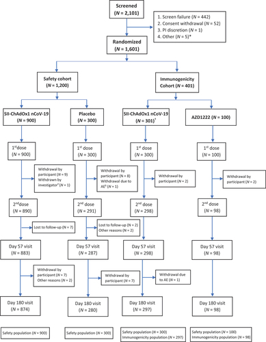 Figure 1. CONSORT flow chart.