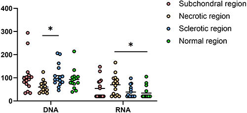 Figure 2 Comparison of HIV DNA and HIV RNA in different regions of necrotic femoral head. p < 0.05 was marked as *.