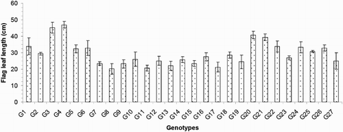 Figure 3. Flag leaf length of 27 blast-resistant genotypes. Each column represents mean with standard error of each genotype; n = 3. G1, Black Banni; G2, Blau Noc; G3, Chirikata 2; G4, Choke Tang; G5, Chokoto 14; G6, IPPA; G7, IR 3257-13-56; G8, IR 5533-13-1-1; G9, IR 5533-14-1-1; G10, IR 5533-15-1-1; G11, IR 5533-50-1-10; G12, IR 5533-55-1-11; G13, IR 5533-56-1-12; G14, IR 5533-PP 854-1; G15, IR 9559-3-1-1; G16, IR 9559-4-1-1; G17, IR 9559-PP 871-1; G18, IR 9669-22-2-6; G19, IR 9669-PP 823-1; G20, Ja Hau; G21, Ja No Naq; G22, C; G23, F1 seed (BR16 × Karingam); G24, BR26; G25, BRRI dhan42; G26, BRRI dhan43; G27, BRRI dhan48.