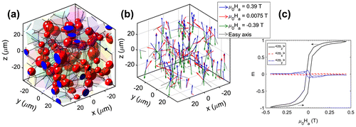 Figure 2. (colour online) (a) 3D visualisation of the microstructure with f = 0.10, ρ α  = 2.45 × 1014 m−3,  = 4.4 μm and σ/R = 0.25 and (b) the computed magnetisation for each particle illustrated by the orientation of the arrows with easy axis shown in dashed lines. (c) The calculated <m x >, <m y > and <m z > as a function of the applied field (arrows indicate the changing direction of applied field) for a magnetic hysteresis loop.