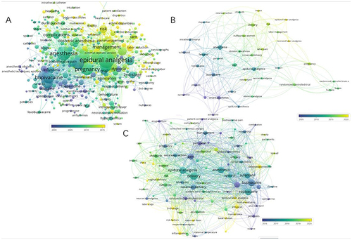 Figure 7 Hotspots of research on labor analgesia in the United States, Japan and China in recent years.